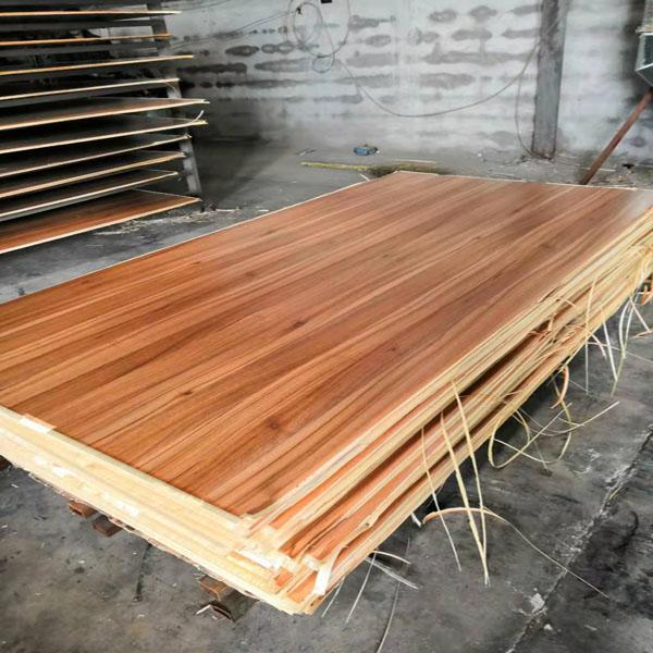 標準サイズはMDFの木製のパネリングに床を張るMDFのパネル/構造に張り合わせました